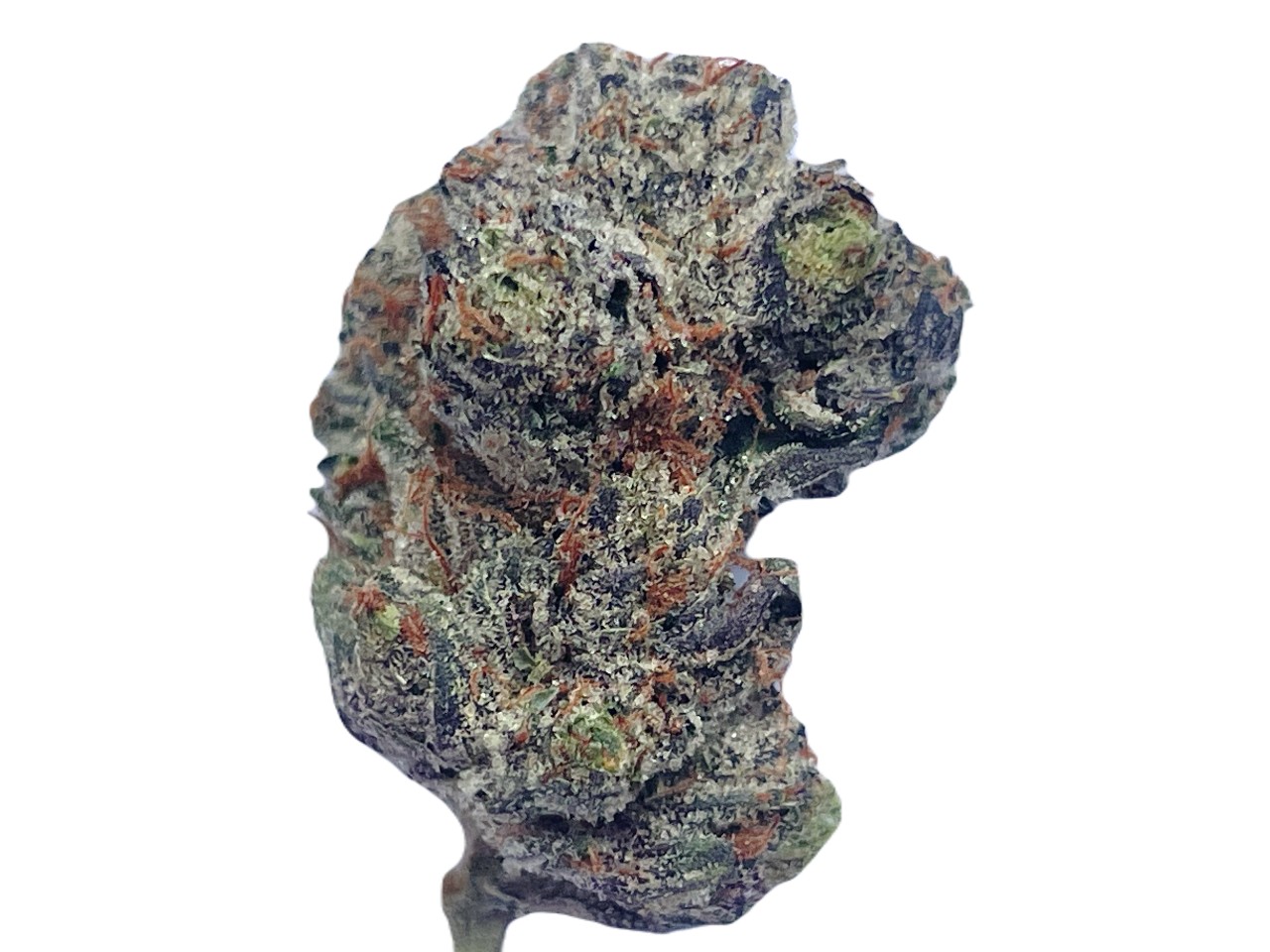 Kings Kandy strain Kings Kandy strain