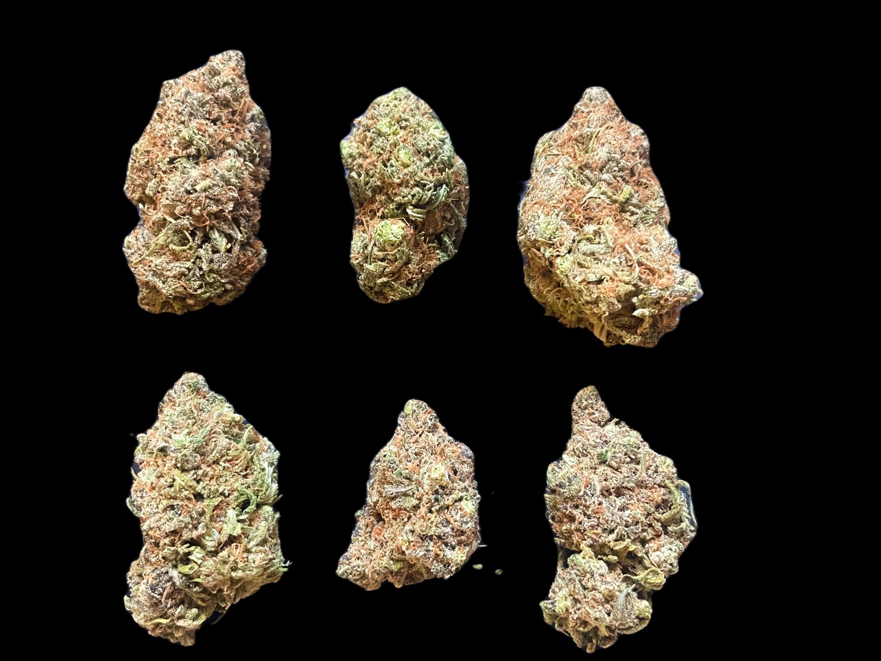 Moby Dick strain buds Moby Dick strain buds