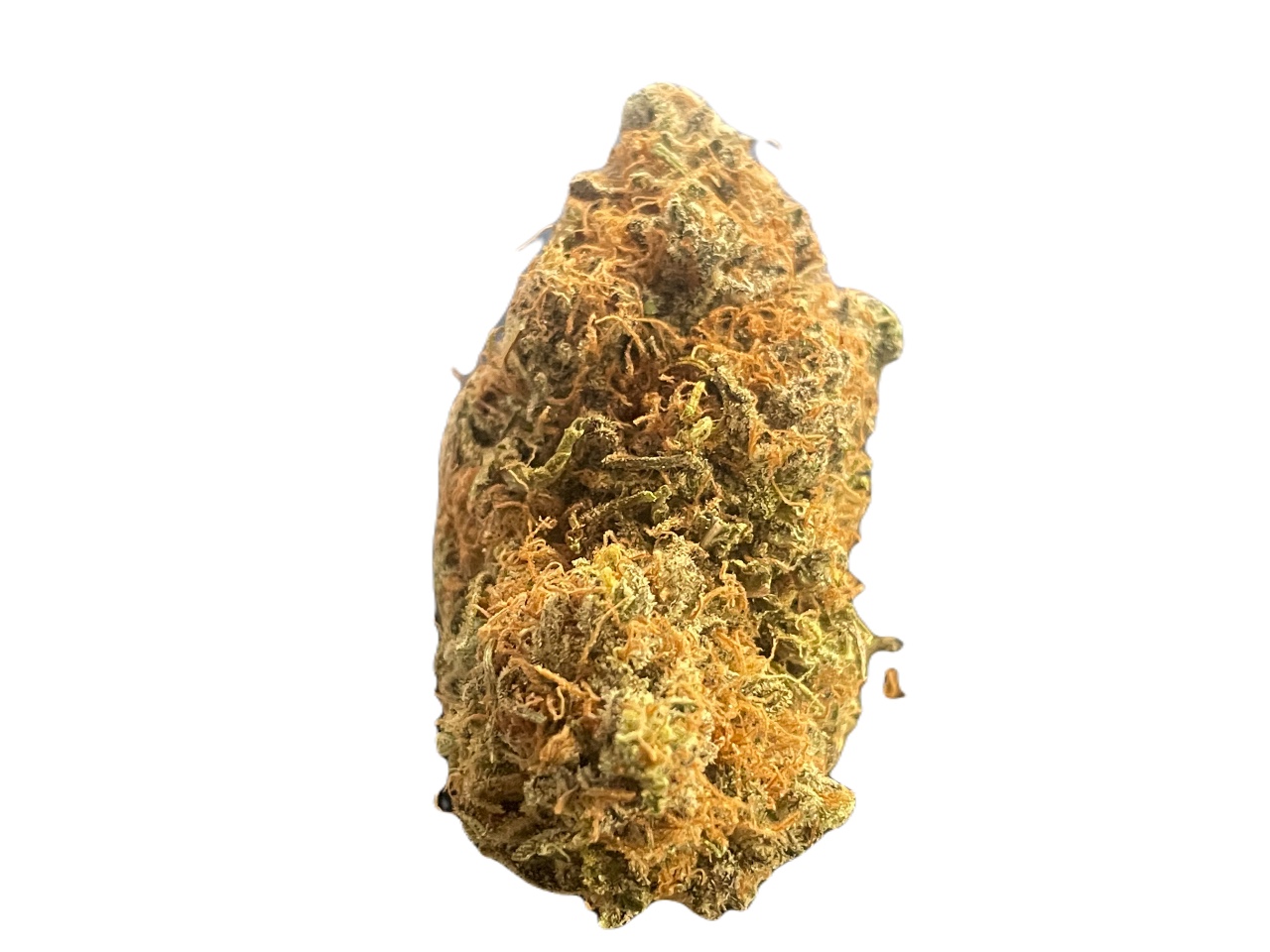 Moby Dick strain Moby Dick strain