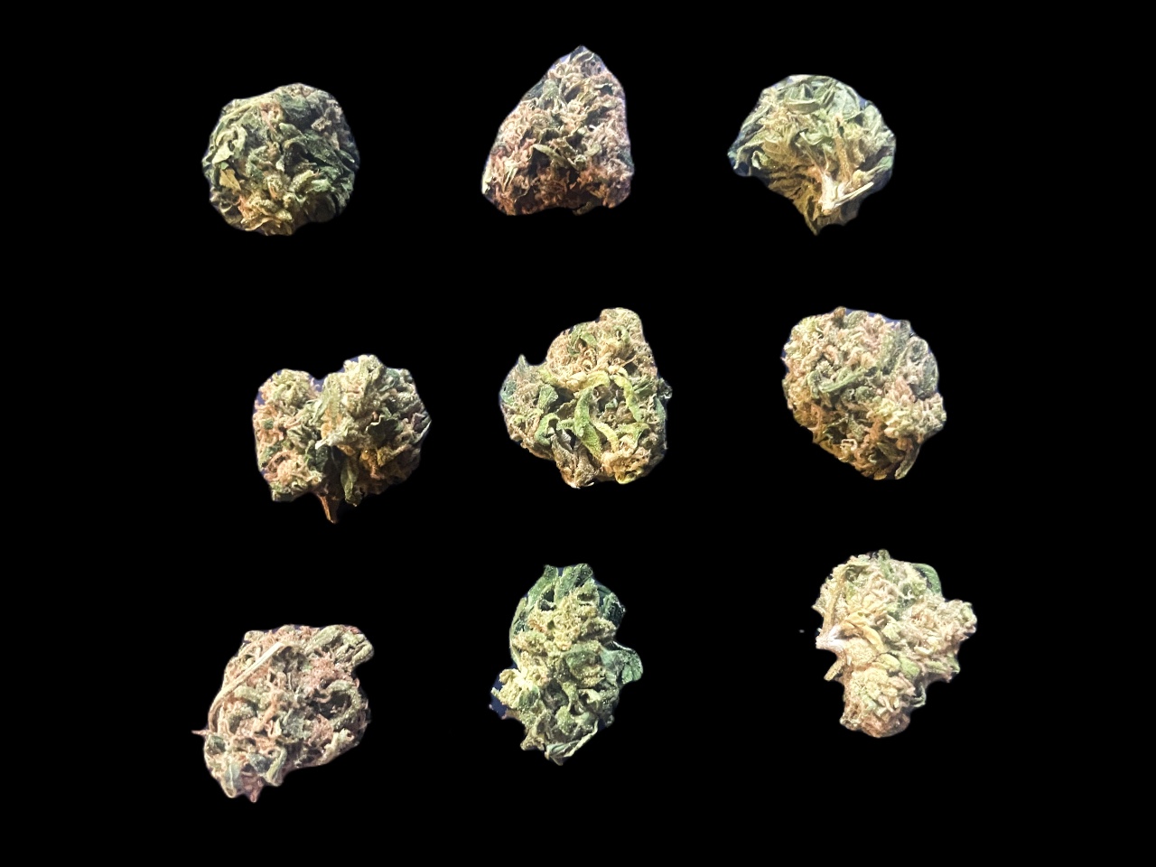 Sensi Star small buds Sensi Star small buds