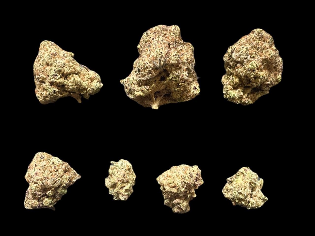 Strawberry Jerry buds