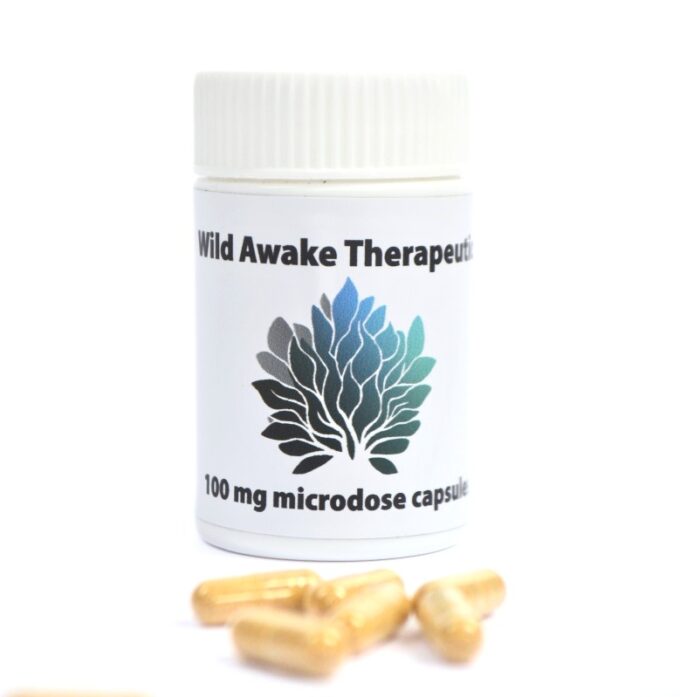 Wild Awake microdose mushrooms