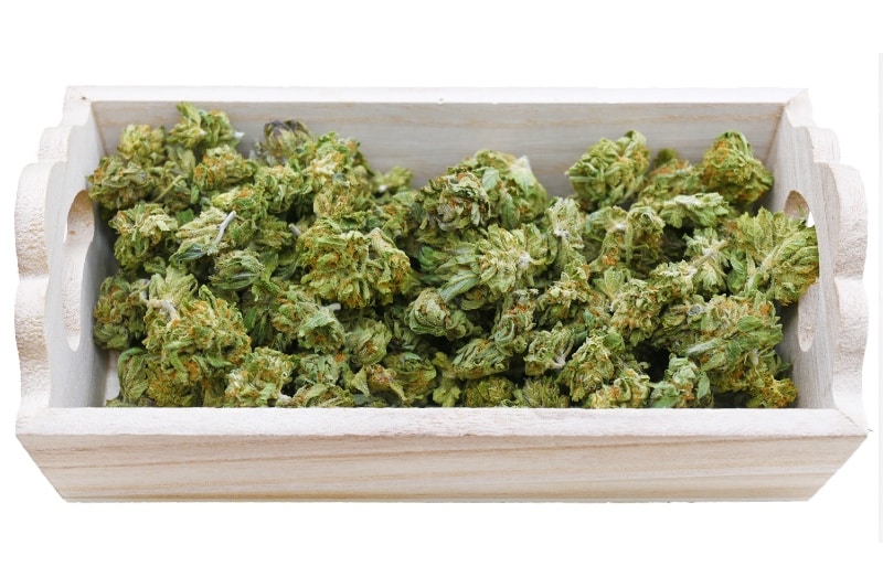 SOUR MANGO GROUP SHOT TRAY