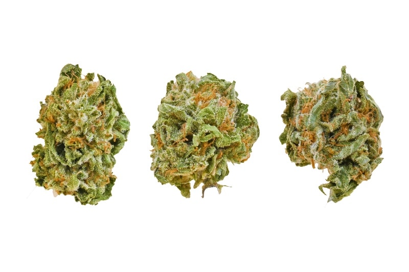 Sour Mango group shot