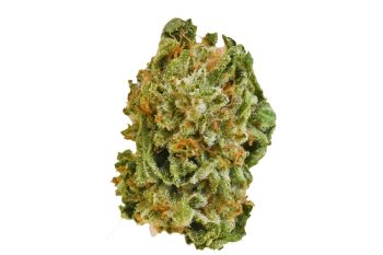 Sour Mango strain