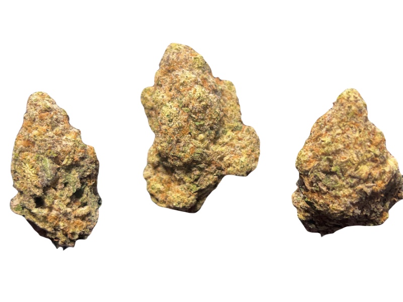 Mac Mintz buds 800 x 600 Mac Mintz buds