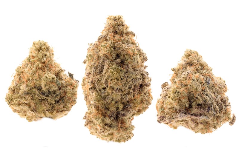 White Widow buds 800 x 600 1