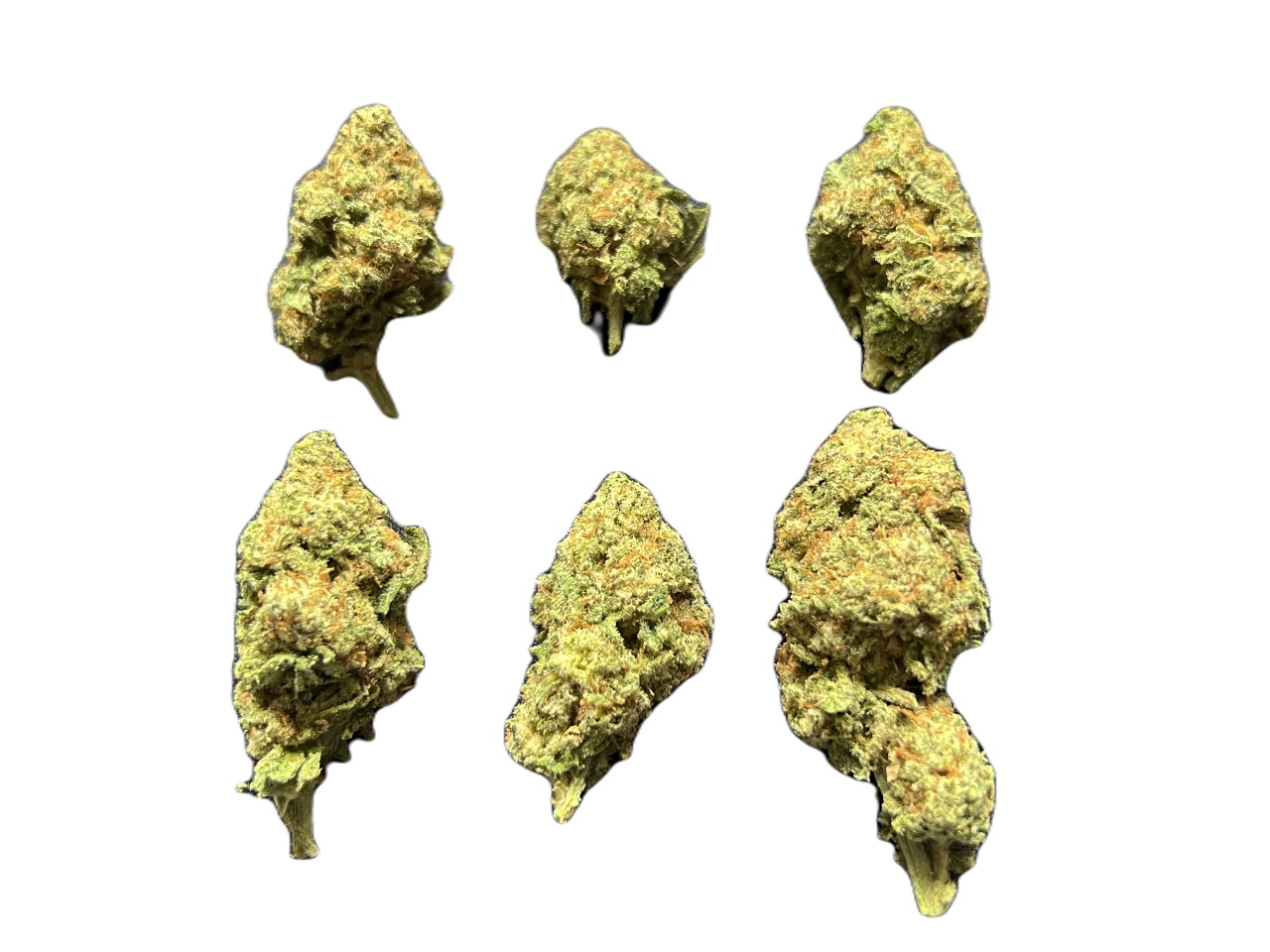 Island Sweet Skunk buds