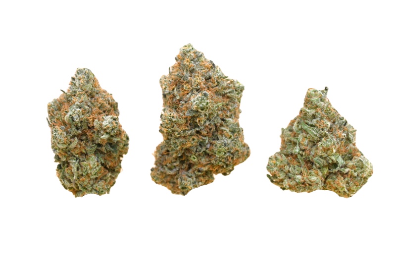 Bruce Banner buds 2 1