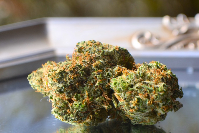 Bruce Banner outdoor pics