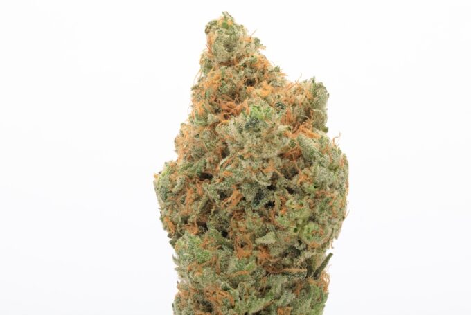 Bruce Banner strain