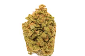 Bandit Breath Strain