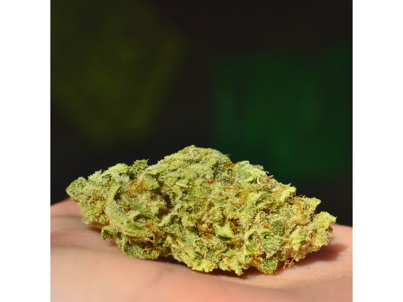 Ethos Cookies 4 outside 800 x 600