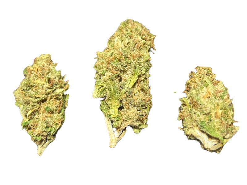 Lemon Rocks buds 800 x 600