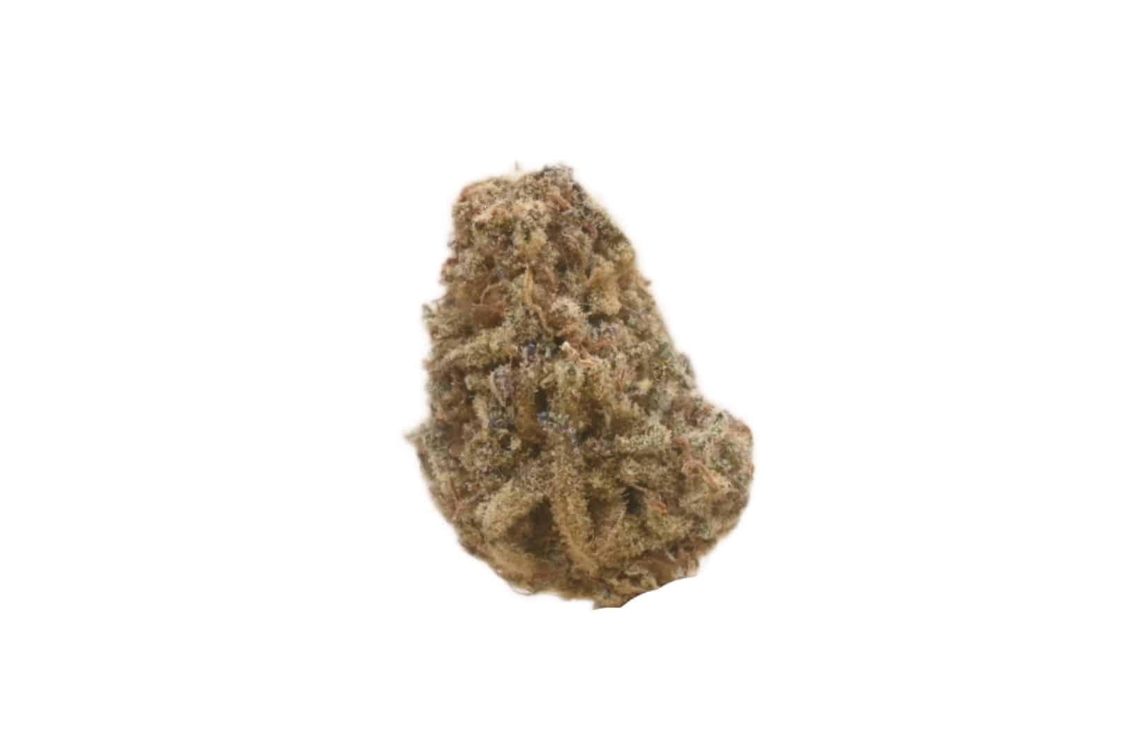 Miracle Alien Cookies 2