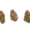 Miracle Alien Cookies Buds 1