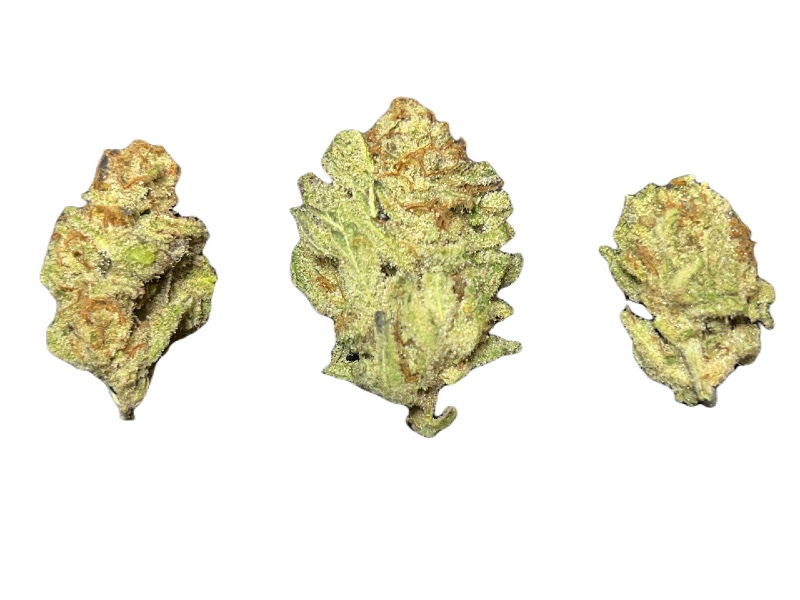 Miracle Alien Cookies buds 800 x 600