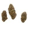 Orange Kush Cake buds 1