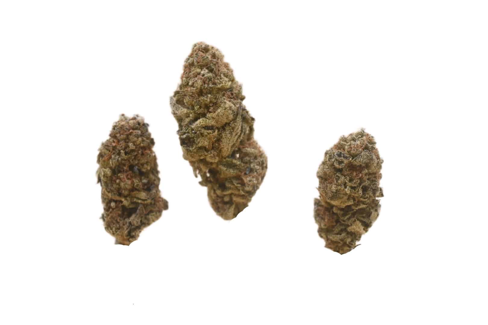Orange Kush Cake buds 1