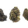 Purple Skunk buds