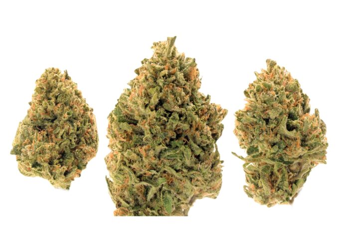 Tropicana Cookies buds