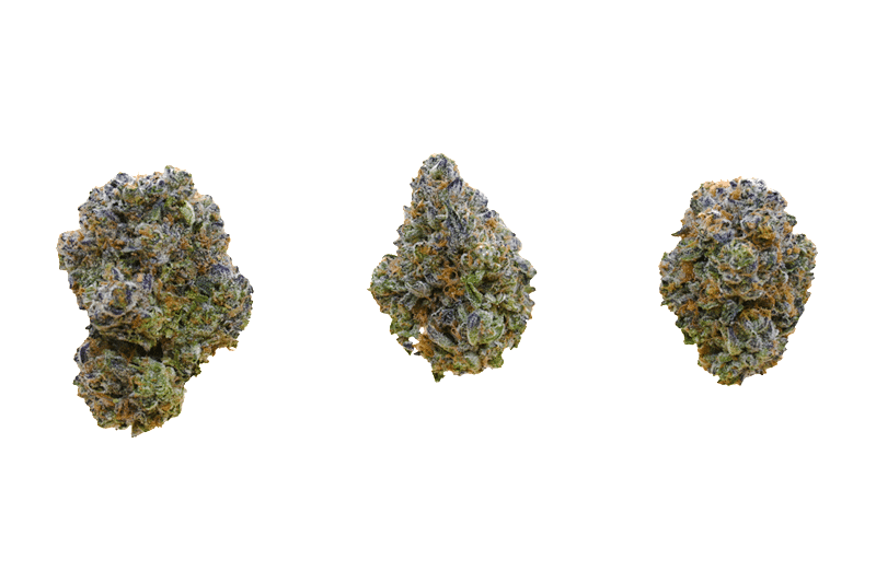 PERMANENT MARKER 800 CWW