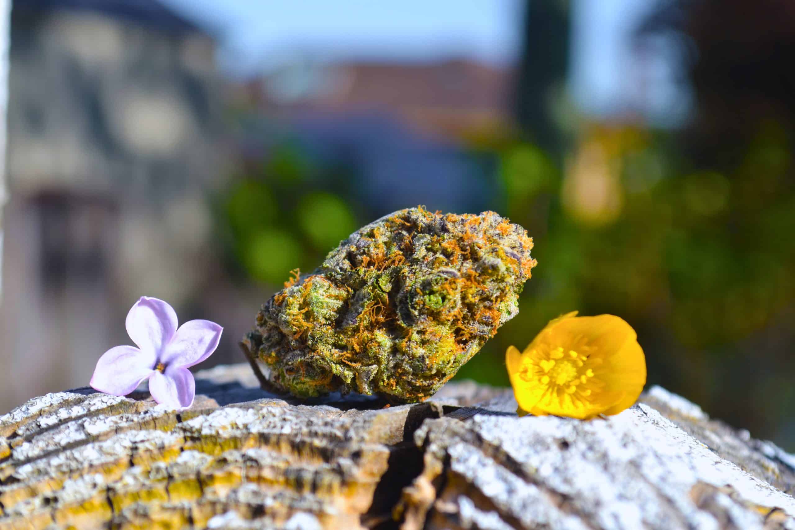 Permanent Marker outside