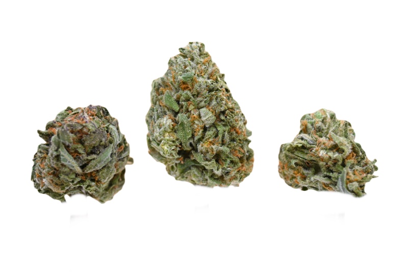 Sunset Sherbet buds 1 2