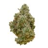 Gorilla Glue strain