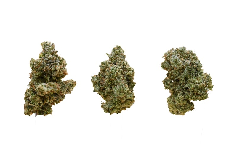 Gorilla Glue buds 2 1