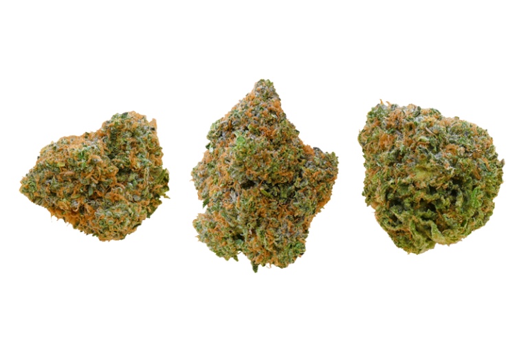 CANDY FUMES BUD GROUP SHOT CWW 768x512 1