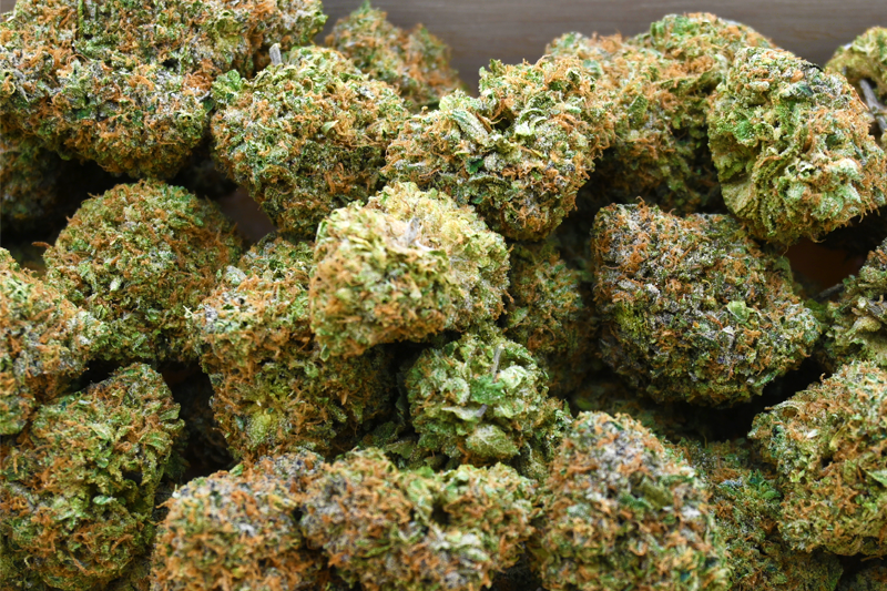 CANDY FUMES BUD GROUP SHOT CWW1