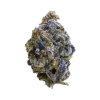 Mac Donut strain
