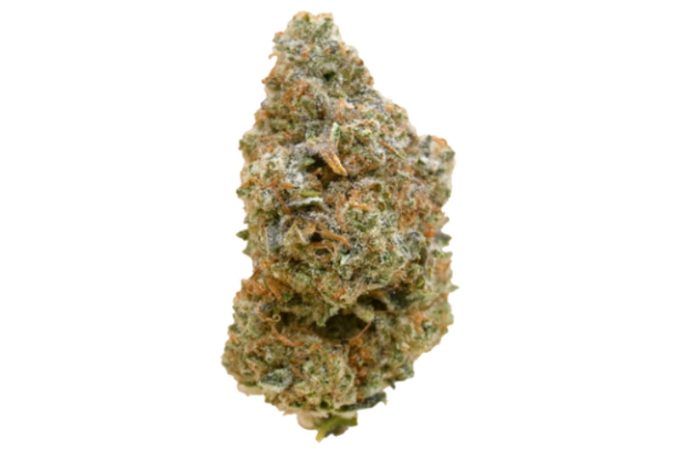 Mojito Strain