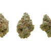 Mojito buds
