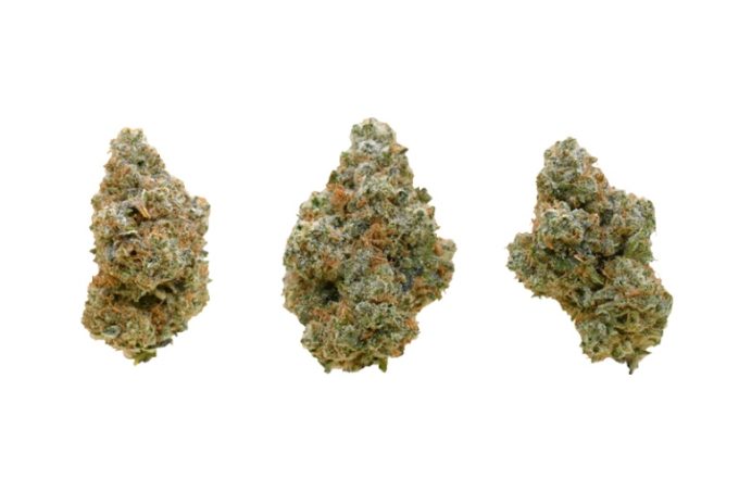 Mojito buds