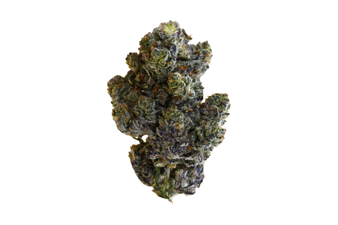 White Truffle strain
