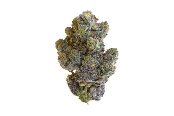 White Truffle strain