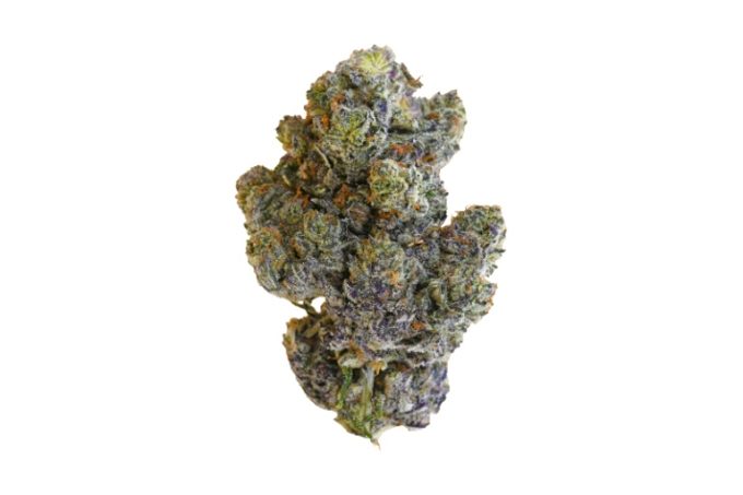 White Truffle strain