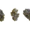 White Truffle buds