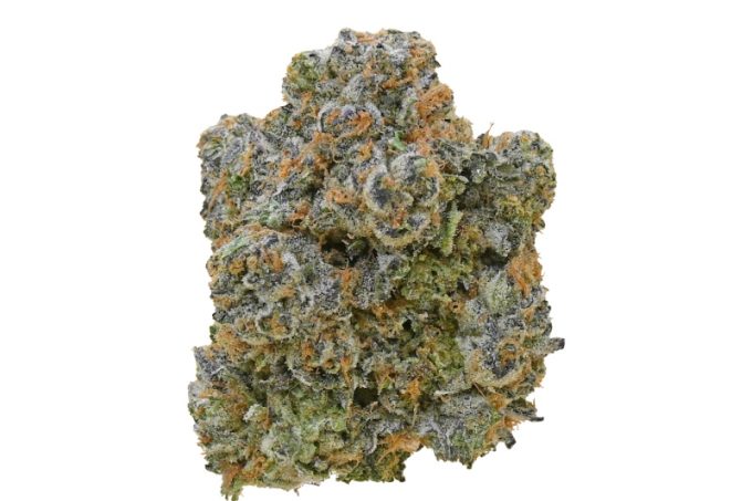 Animal Mints strain
