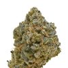 Blue Rhino strain