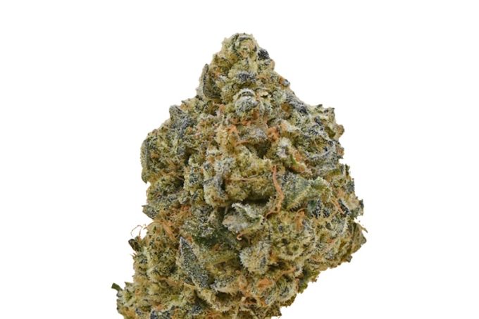 Blue Rhino strain