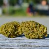 Blue Rhino strain outside