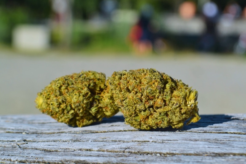 Blue Rhino strain outside