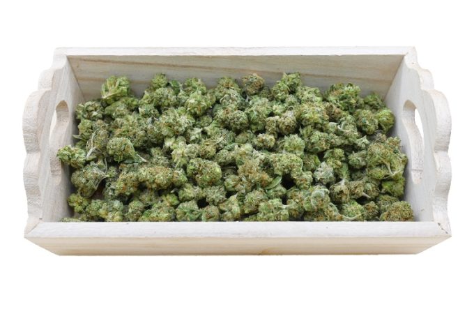 Ghost OG group shot