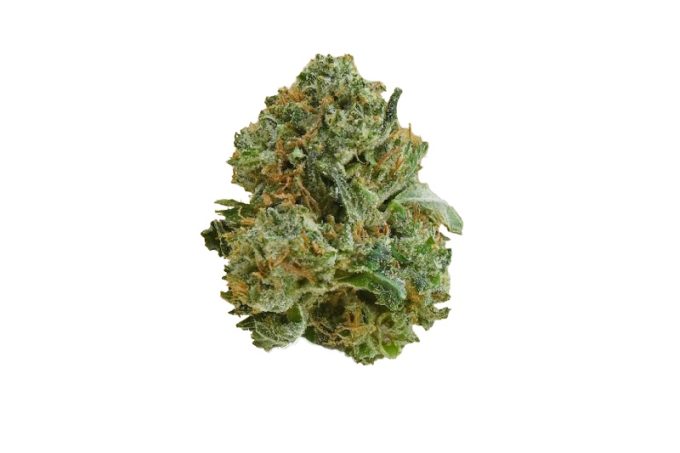Ghost OG Strain