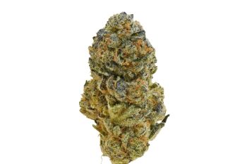 Peanut Butter Breath strain