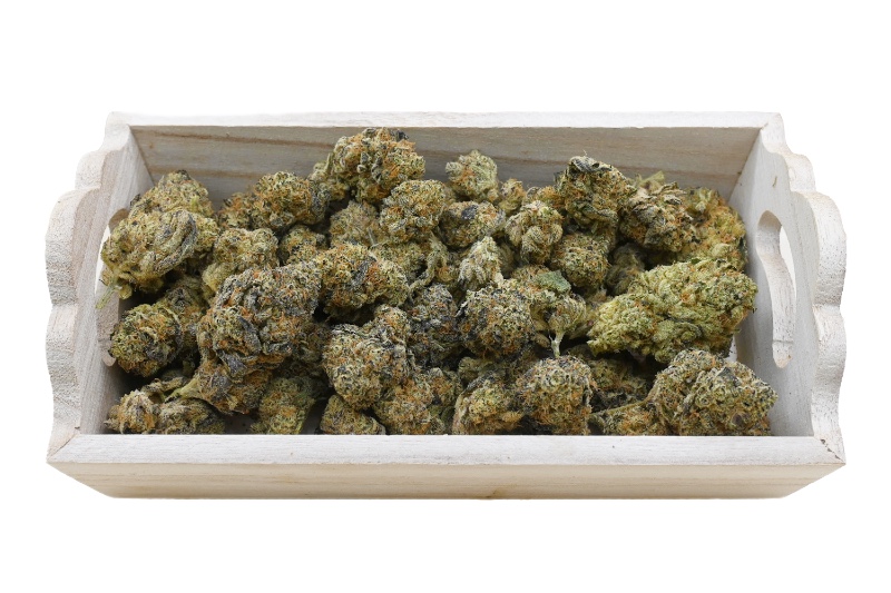 Peanut Butter Breath group shot