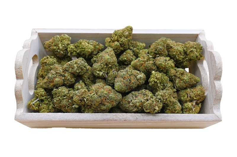 STRAWBERRY N CREAM group shot